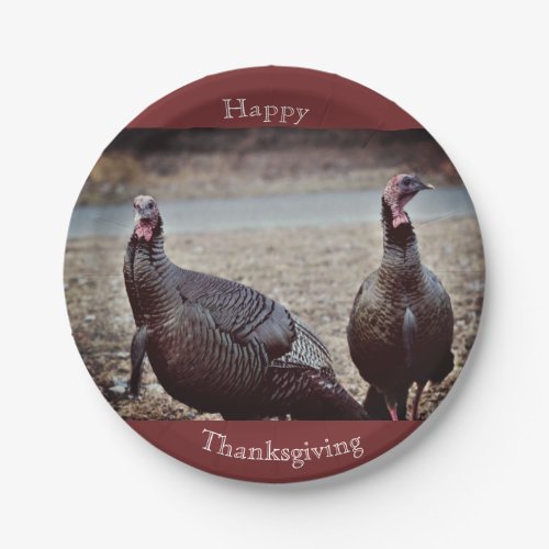 Wild Turkeys Thanksgiving Paper Plate