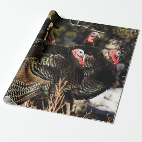 Wild Turkeys Thanksgiving Wrapping Paper