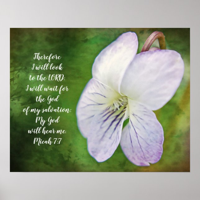 Wild Violet Flower Bible Scripture Poster (Front)