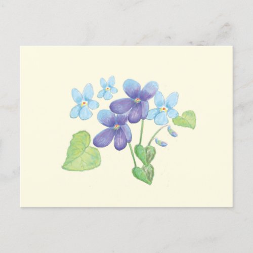 Wild Violet Flowers Illustration  Postcard