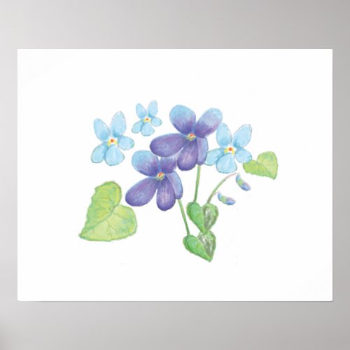 Wild Violet Flowers Illustration Poster