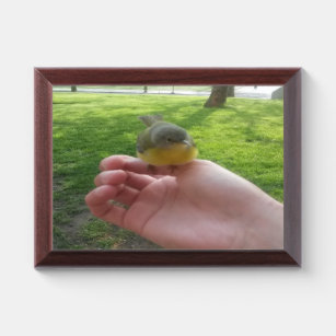 Wild Warbler Bird On Hand Gifts for Animal Lover Award Plaque