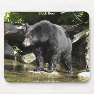 WILD WARRIORS Black Bear Photo Collection Mouse Pad