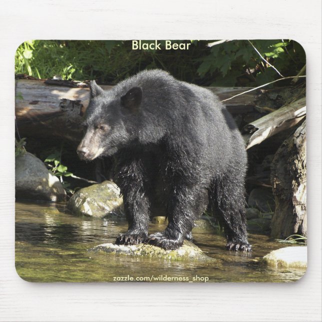WILD WARRIORS Black Bear Photo Collection Mouse Pad (Front)