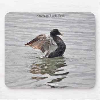 Wild Water Fowl Wildlife Bird-lover Duck Design Mouse Pad by EarthGifts at Zazzle
