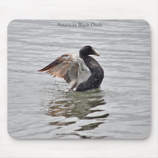 Wild Water Fowl Wildlife Bird-lover Duck design Mouse Pad (Front)