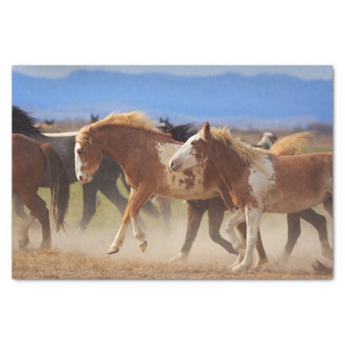 Wild Western Horse Bucking Tissue Paper