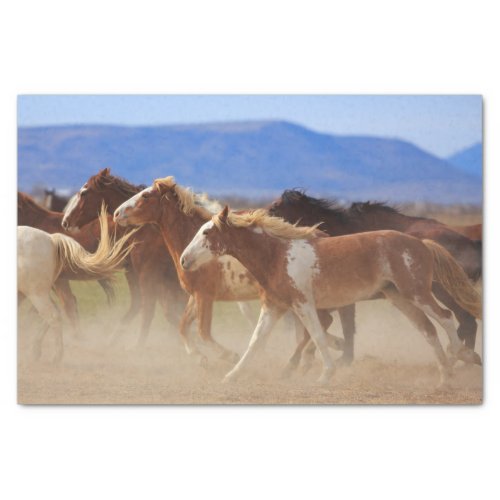 Wild Western Horses Tissue Paper