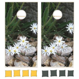 Wild White Daisies In Rock Garden Family Fun Game