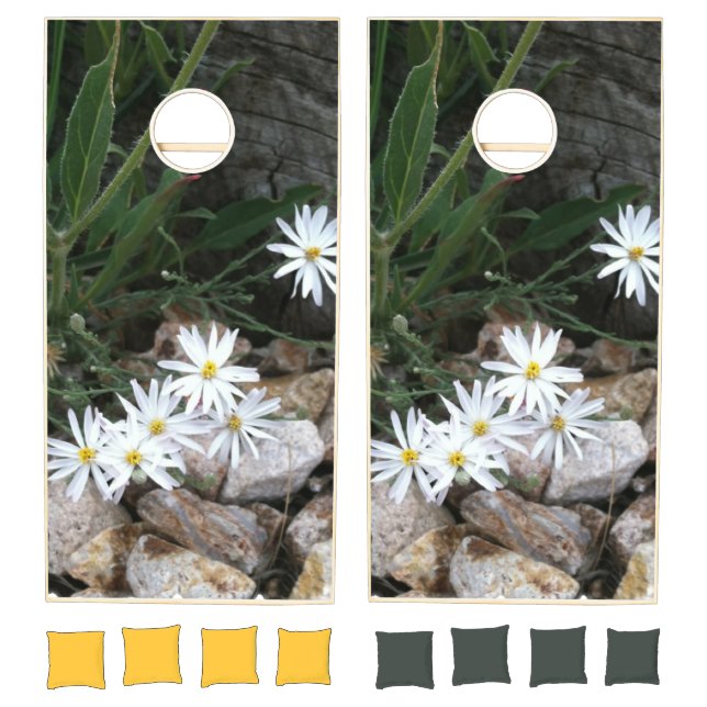 Wild White Daisies In Rock Garden Family Fun Game (Set)