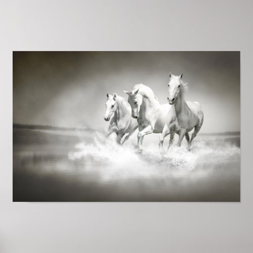 Wild White Horses Poster