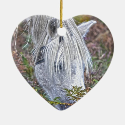 Wild White New Forest Pony Grazing on Bracken Ceramic Ornament