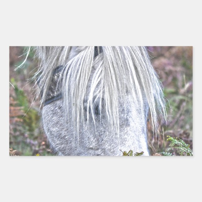 Wild White New Forest Pony Grazing on Bracken Rectangular Sticker (Front)