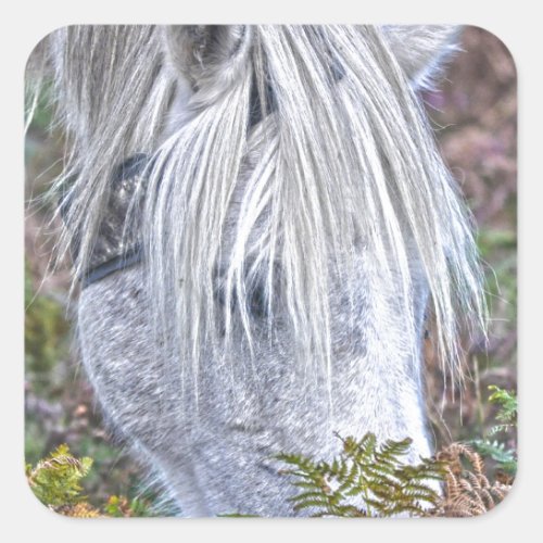 Wild White New Forest Pony Grazing on Bracken Square Sticker