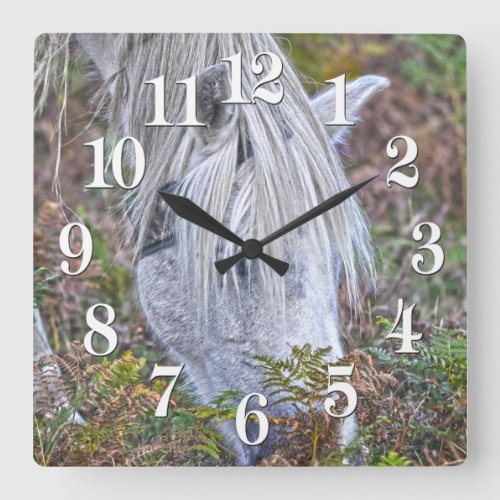 Wild White New Forest Pony Grazing on Bracken Square Wall Clock