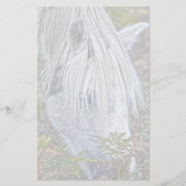 Wild White New Forest Pony Grazing on Bracken Stationery (Front)