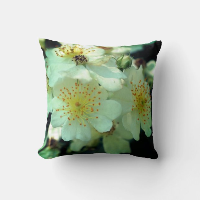 Wild White Rambling Roses Close Up  Throw Pillow (Front)