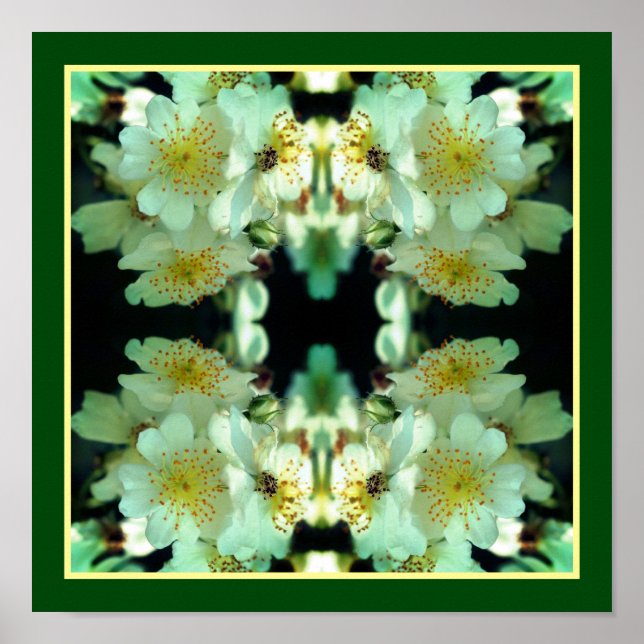 Wild White Rambling Roses Floral Abstract  Poster (Front)