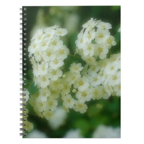 Wild White Rambling Roses Flower Nature Notebook