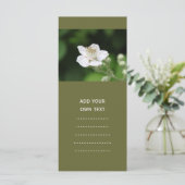 Wild white raspberry flower. (Standing Front)