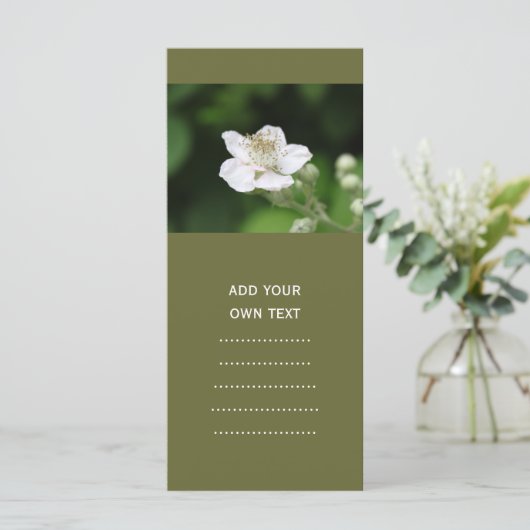 Wild white raspberry flower. (Standing Front)