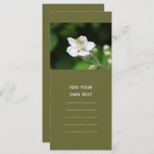 Wild white raspberry flower. (Front/Back)