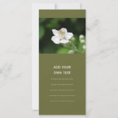 Wild white raspberry flower. (Front)