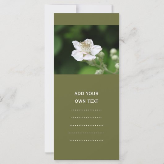 Wild white raspberry flower. (Front)