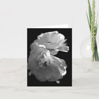 Wild White Roses Sympathy Blank Note Card