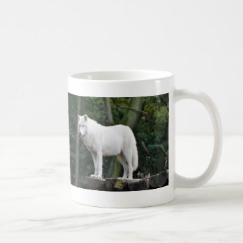 Wild White Wolf Coffee Mug by zzl_157558655514628 at Zazzle