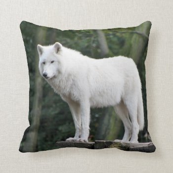 Wild White Wolf Throw Pillow by zzl_157558655514628 at Zazzle