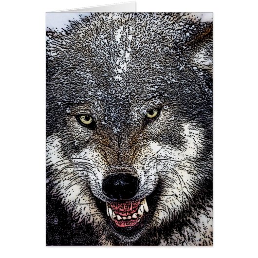Wild Wolf Cards (Front)