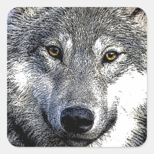 Wild Wolf Eyes Unique Artwork Square Sticker
