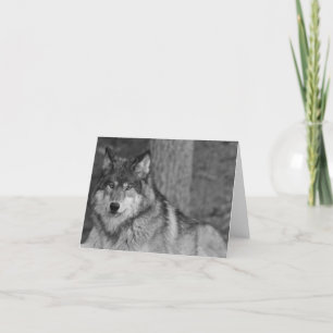 Wild Wolf Note Card