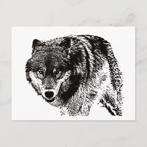 Wild Wolf Postcard