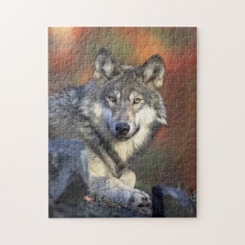 Wild Wolf Puzzle by zzl_157558655514628 at Zazzle