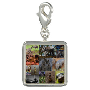 Wild Wonders: Captivating Australian Photo Collage Charm