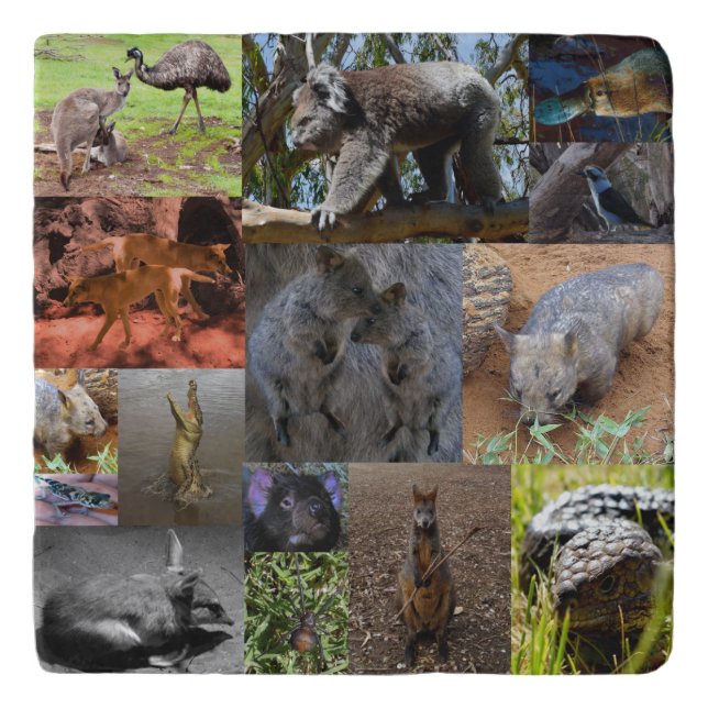 Wild Wonders: Captivating Australian Photo Collage Trivet (Front)