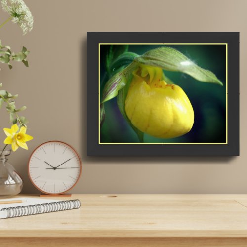 Wild Yellow Lady Slipper Orchid Flower Framed Framed Art