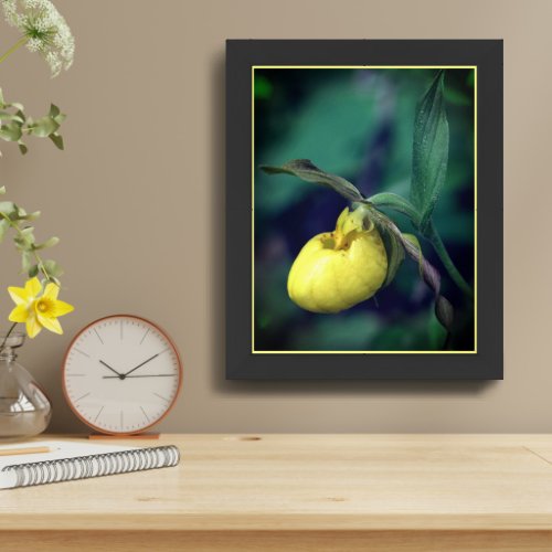 Wild Yellow Lady Slipper Orchid Flower Framed Framed Art