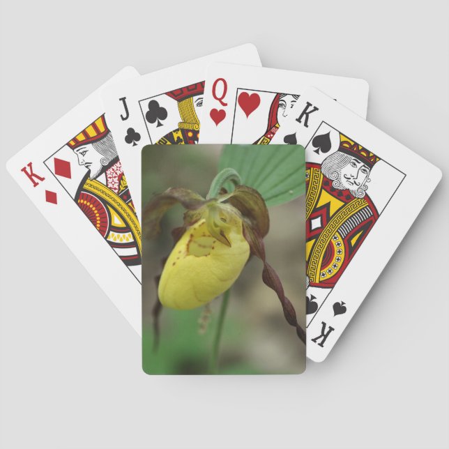 Wild Yellow Lady Slipper Orchid Flower  Poker Cards (Back)