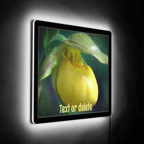 Wild Yellow Lady Slipper Orchid Personalized LED Sign