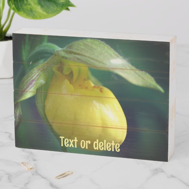 Wild Yellow Lady Slipper Orchid Personalized Wooden Box Sign (In Situ Horizontal)