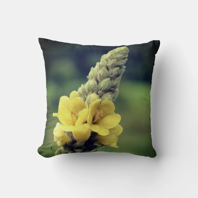 Wild Yellow Mullein Flower   Throw Pillow (Front)