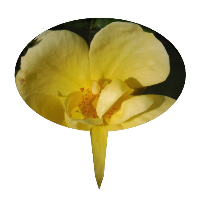 Wild Yellow Rose Cake Topper (Front)