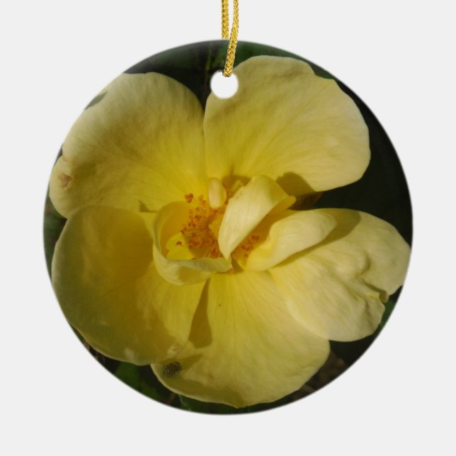 Wild Yellow Rose Ceramic Ornament (Front)
