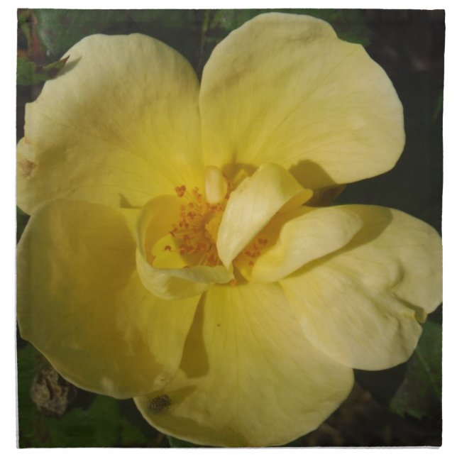 Wild Yellow Rose Cloth Napkin (Front)