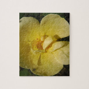 Wild Yellow Rose Jigsaw Puzzle