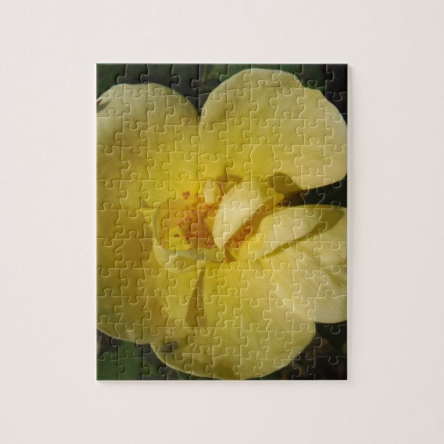 Wild Yellow Rose Jigsaw Puzzle (Vertical)