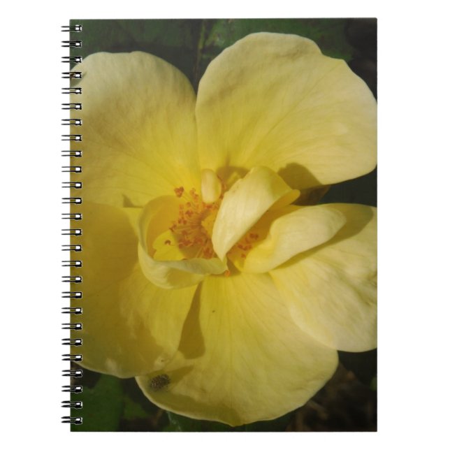 Wild Yellow Rose Notebook (Front)
